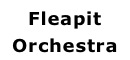 Fleapit Orchestra