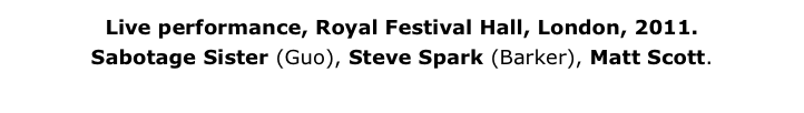Live performance, Royal Festival Hall, London, 2011.
Sabotage Sister (Guo), Steve Spark (Barker), Matt Scott.
More about The Syndicate...