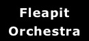 Fleapit Orchestra